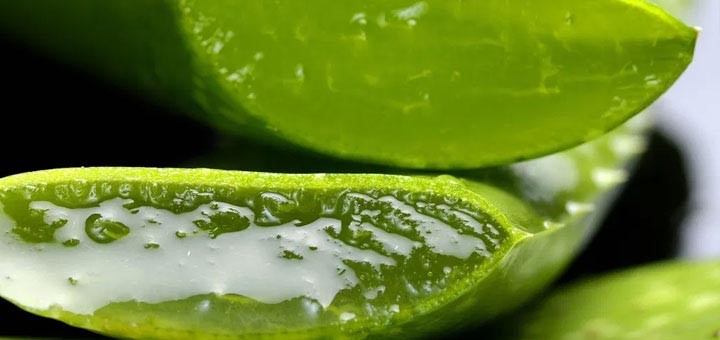 Cómo producir pintura económica y ecológica